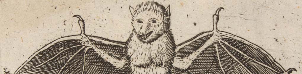 animal imaginaire