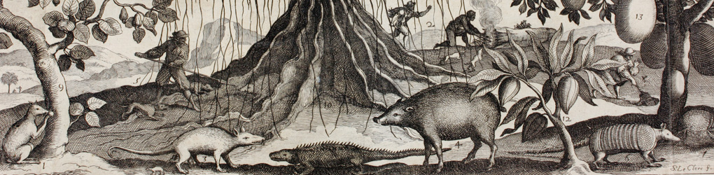 animal imaginaire